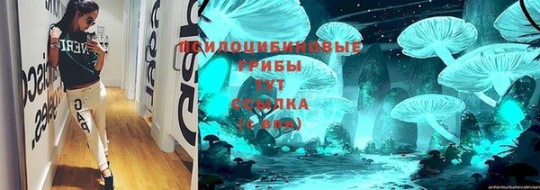 тгк Михайловск