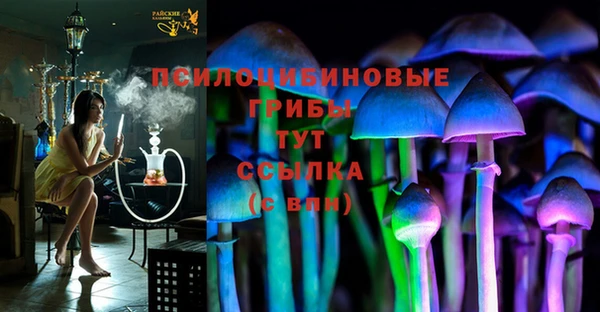 тгк Михайловск