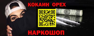 дмт Аргун