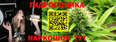 эйфоретик Бийск