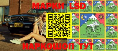 дмт Аргун