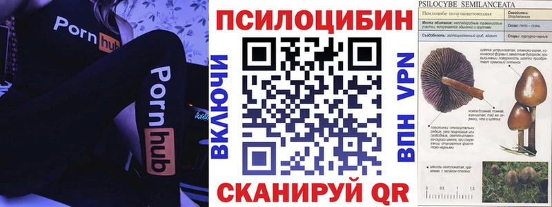 Галлюциногенные грибы MAGIC MUSHROOMS  Кирово-Чепецк 