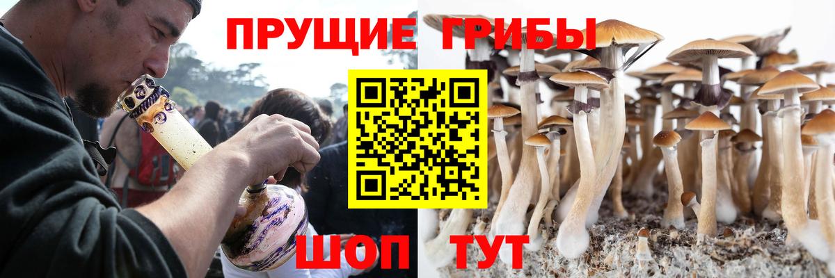 Кирово-Чепецк  Галлюциногенные грибы Psilocybe  Псилоцибиновые грибы Cubensis  Вход с VPN 